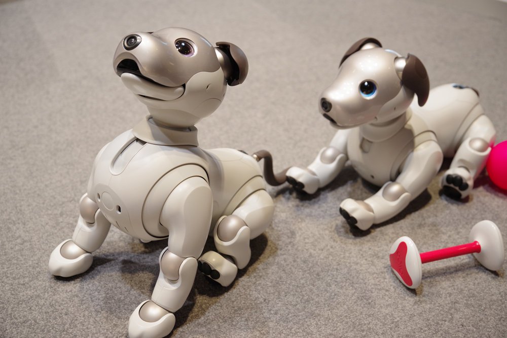 $3000 sony aibo robot dog